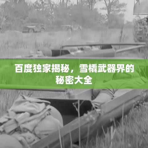 百度獨家揭秘，雪橇武器界的秘密大全