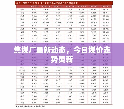 焦煤廠最新動態(tài)，今日煤價走勢更新