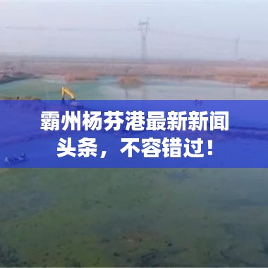 霸州楊芬港最新新聞頭條，不容錯過！