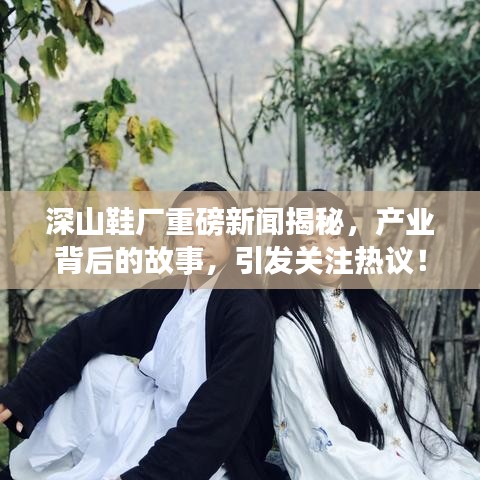 深山鞋廠重磅新聞揭秘，產(chǎn)業(yè)背后的故事，引發(fā)關(guān)注熱議！