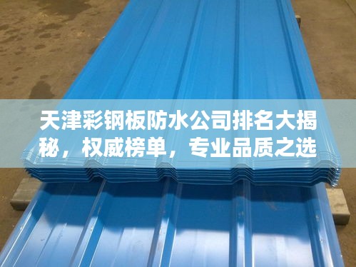 天津彩鋼板防水公司排名大揭秘，權威榜單，專業(yè)品質之選！