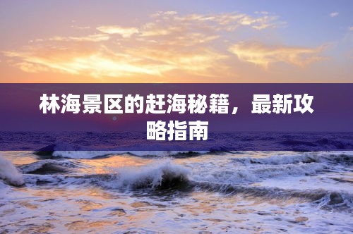 林海景區(qū)的趕海秘籍，最新攻略指南