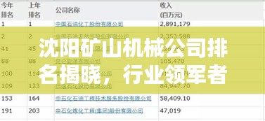 沈陽礦山機(jī)械公司排名揭曉，行業(yè)領(lǐng)軍者榜單出爐！
