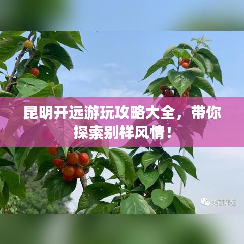 昆明開遠游玩攻略大全，帶你探索別樣風情！