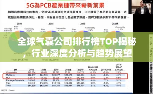 全球氣囊公司排行榜TOP揭秘，行業(yè)深度分析與趨勢(shì)展望