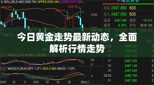 今日黃金走勢(shì)最新動(dòng)態(tài)，全面解析行情走勢(shì)