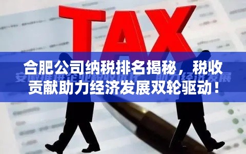 合肥公司納稅排名揭秘，稅收貢獻(xiàn)助力經(jīng)濟(jì)發(fā)展雙輪驅(qū)動(dòng)！