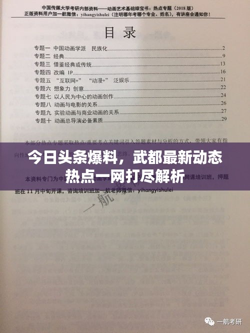 今日頭條爆料，武都最新動(dòng)態(tài)熱點(diǎn)一網(wǎng)打盡解析