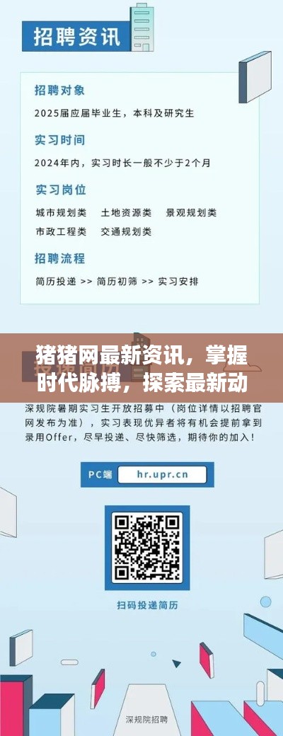 豬豬網(wǎng)最新資訊，掌握時(shí)代脈搏，探索最新動(dòng)態(tài)