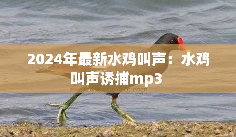 正襟危坐 第5頁