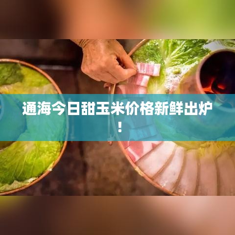 通海今日甜玉米價格新鮮出爐！