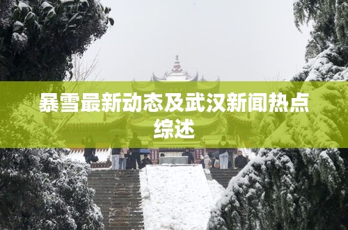 暴雪最新動態(tài)及武漢新聞熱點(diǎn)綜述