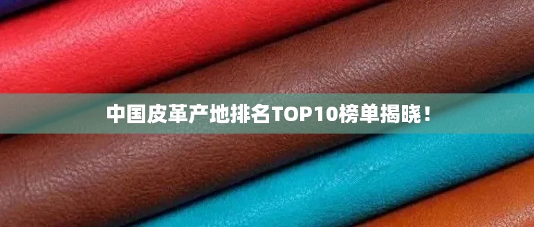 中國(guó)皮革產(chǎn)地排名TOP10榜單揭曉！
