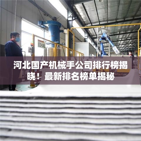 河北國產(chǎn)機械手公司排行榜揭曉！最新排名榜單揭秘