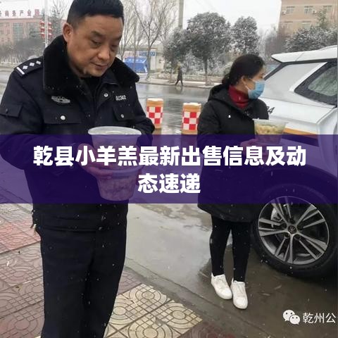 張燈結(jié)彩 第4頁