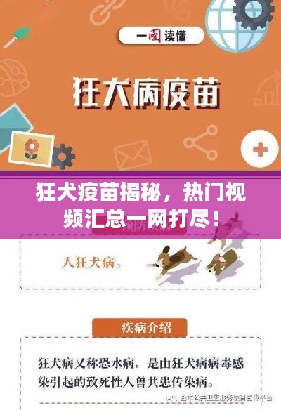 狂犬疫苗揭秘，熱門視頻匯總一網(wǎng)打盡！