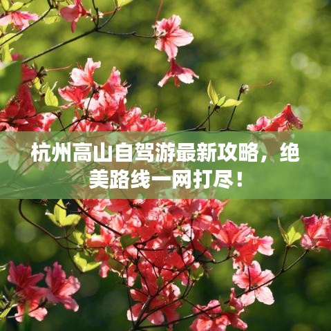 杭州高山自駕游最新攻略，絕美路線一網(wǎng)打盡！