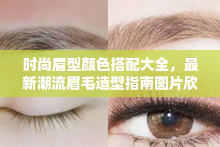時尚眉型顏色搭配大全，最新潮流眉毛造型指南圖片欣賞