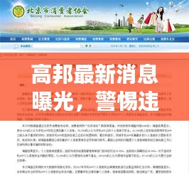 高邦最新消息曝光，警惕違法犯罪信息，全面解析查詢表！