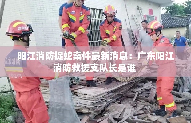 陽(yáng)江消防捉蛇案件最新消息：廣東陽(yáng)江消防救援支隊(duì)長(zhǎng)是誰(shuí) 