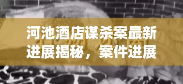 河池酒店謀殺案最新進展揭秘，案件進展令人震驚，真相逐漸浮出水面