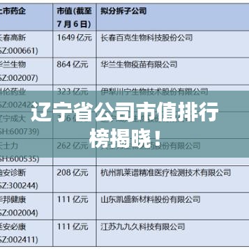 遼寧省公司市值排行榜揭曉！