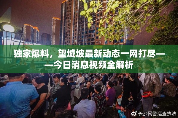 獨(dú)家爆料，望城坡最新動(dòng)態(tài)一網(wǎng)打盡——今日消息視頻全解析