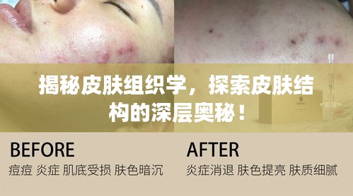 勃然大怒 第4頁