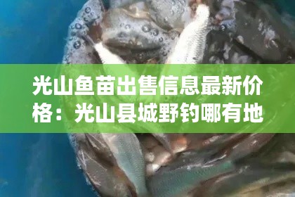 光山魚苗出售信息最新價格：光山縣城野釣?zāi)挠械胤?