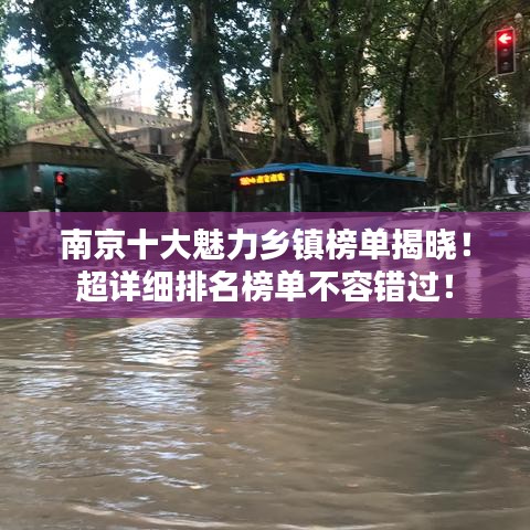 南京十大魅力鄉(xiāng)鎮(zhèn)榜單揭曉！超詳細(xì)排名榜單不容錯(cuò)過！