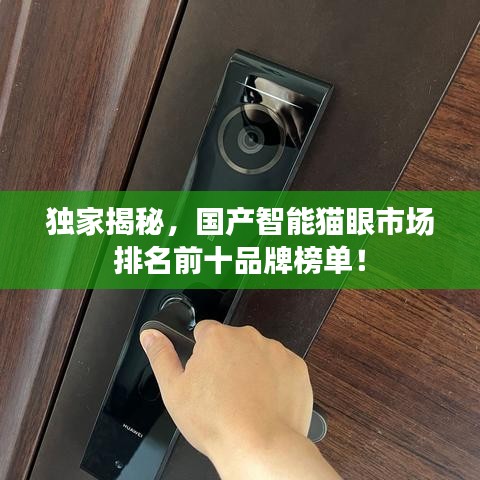 獨家揭秘，國產(chǎn)智能貓眼市場排名前十品牌榜單！