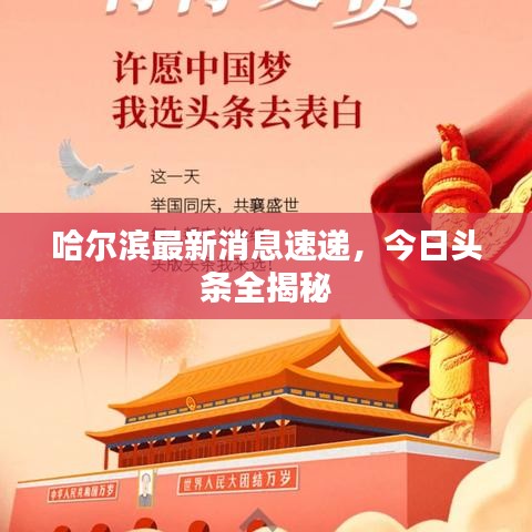 哈爾濱最新消息速遞，今日頭條全揭秘