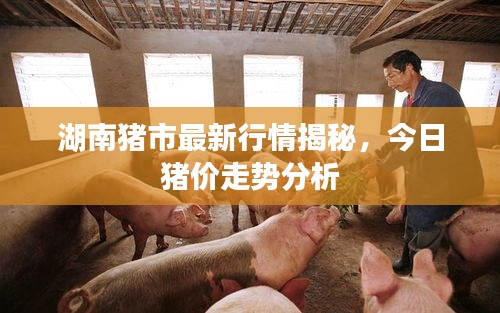 飛流直下 第3頁