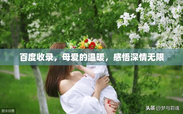 百度收錄，母愛的溫暖，感悟深情無限