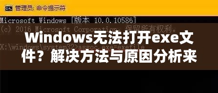 Windows無法打開exe文件？解決方法與原因分析來幫你解決！