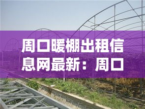周口暖棚出租信息網(wǎng)最新：周口大棚補償標準 