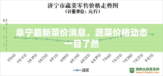 阜寧最新菜價(jià)消息，蔬菜價(jià)格動(dòng)態(tài)一目了然