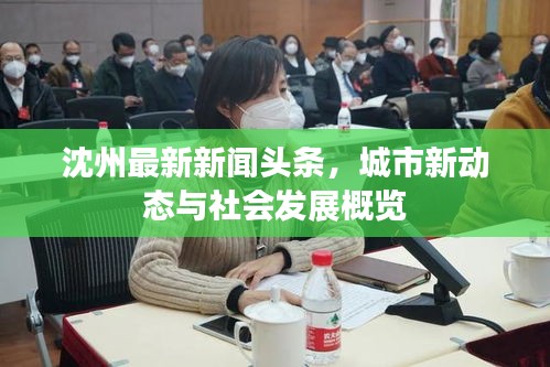 沈州最新新聞?lì)^條，城市新動(dòng)態(tài)與社會(huì)發(fā)展概覽