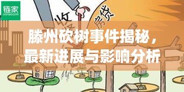 滕州砍樹事件揭秘，最新進展與影響分析
