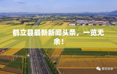 鶴立縣最新新聞?lì)^條，一覽無(wú)余！