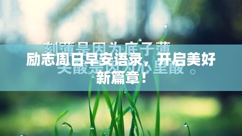 勵志周日早安語錄，開啟美好新篇章！