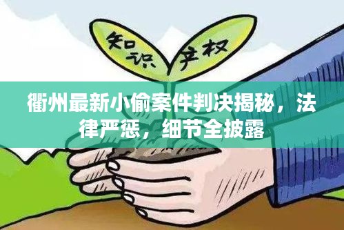 衢州最新小偷案件判決揭秘，法律嚴(yán)懲，細(xì)節(jié)全披露