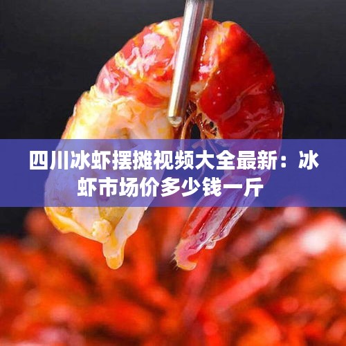 四川冰蝦擺攤視頻大全最新：冰蝦市場(chǎng)價(jià)多少錢(qián)一斤 
