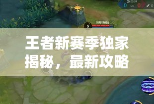 王者新賽季獨(dú)家揭秘，最新攻略與精彩軼聞一網(wǎng)打盡！