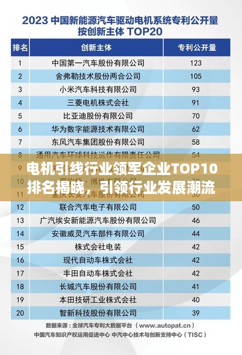 電機(jī)引線行業(yè)領(lǐng)軍企業(yè)TOP10排名揭曉，引領(lǐng)行業(yè)發(fā)展潮流