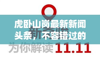 虎臥山崗最新新聞頭條，不容錯過的現(xiàn)場報道！
