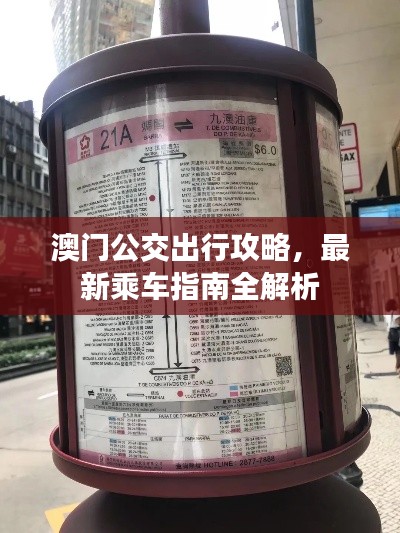 澳門公交出行攻略，最新乘車指南全解析