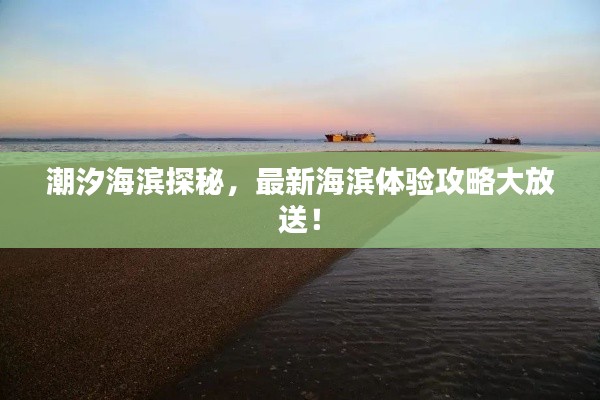 潮汐海濱探秘，最新海濱體驗攻略大放送！