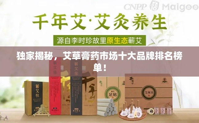獨家揭秘，艾草膏藥市場十大品牌排名榜單！