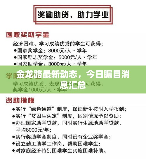金龍路最新動(dòng)態(tài)，今日矚目消息匯總